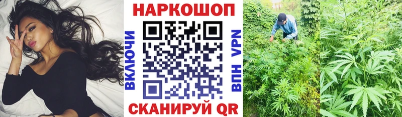 Купить закладку А ПВП  Бошки Шишки  Меф мяу мяу  АМФ  Гашиш  Зеленогорск