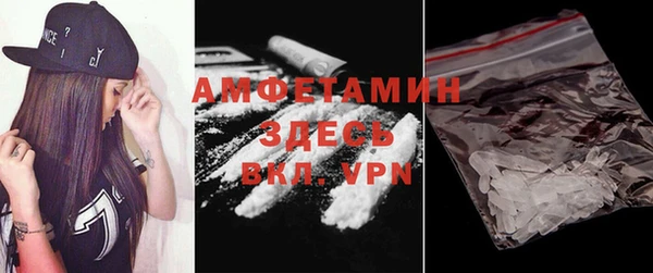 амф Дмитров