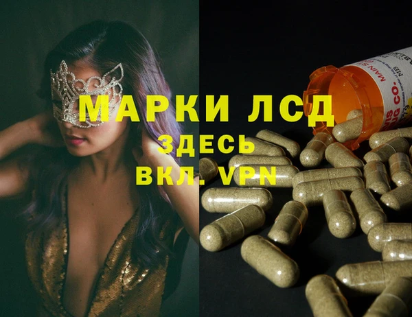 амф Дмитров