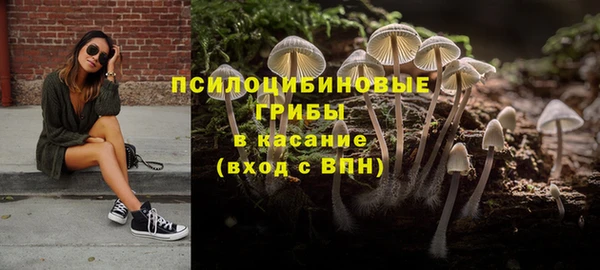амф Дмитров