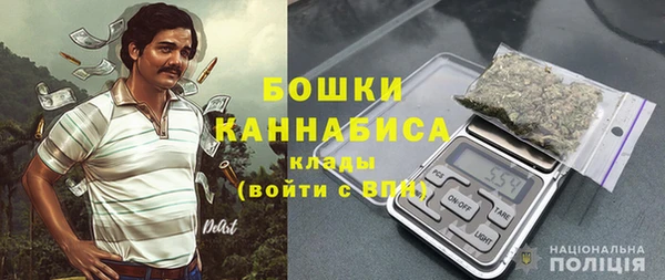 амф Дмитров