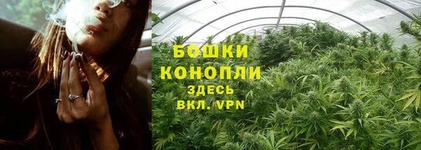СК Дмитриев