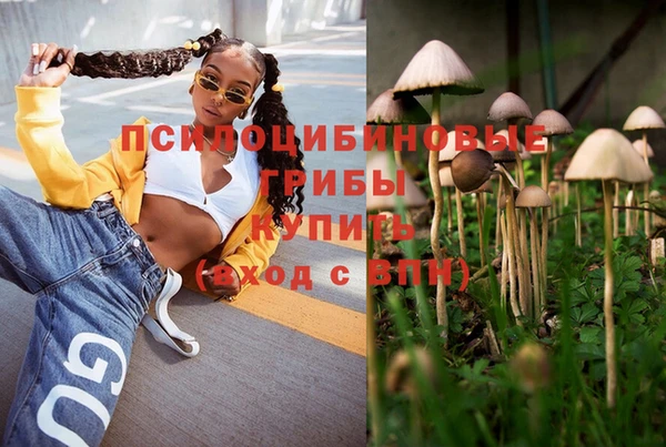 СК Дмитриев