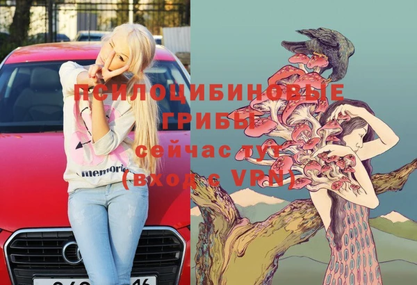 меф Дмитровск
